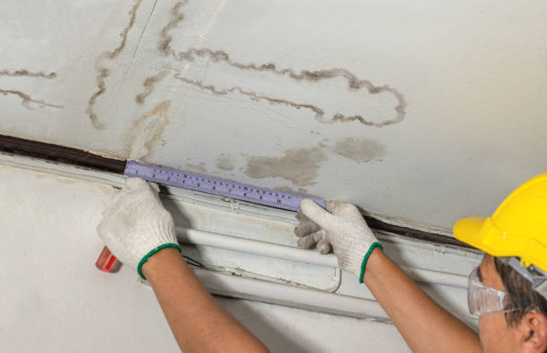 Reliable Mold Remediation contractor in Addis, LA by Water Damage Irwin